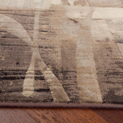 Modern Design Beige & Brown Shade Argentum Rug